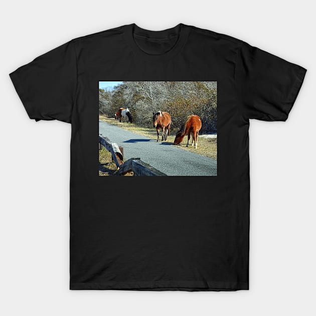 Assateague Ponies Say the Grass is Greener T-Shirt by Swartwout